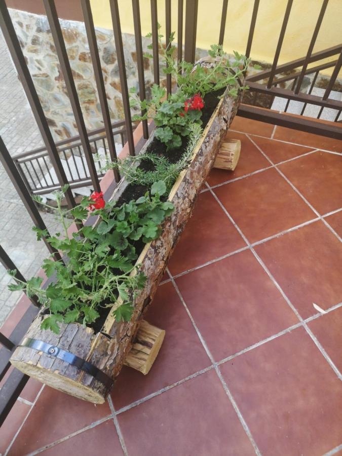 Alojamiento Rural Los Gancheros Tragacete Kültér fotó