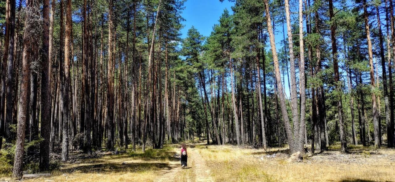 Alojamiento Rural Los Gancheros Tragacete Kültér fotó