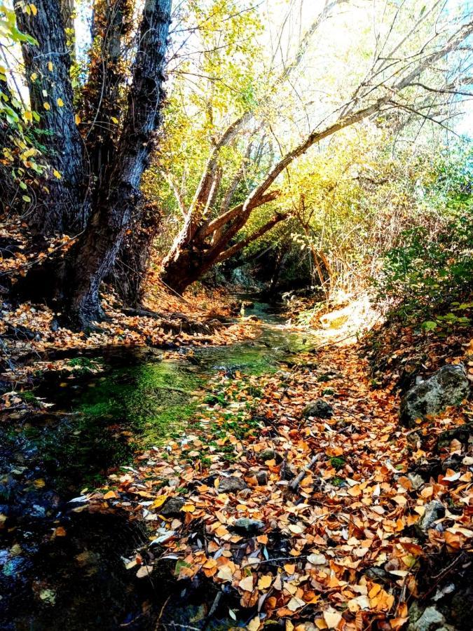 Alojamiento Rural Los Gancheros Tragacete Kültér fotó