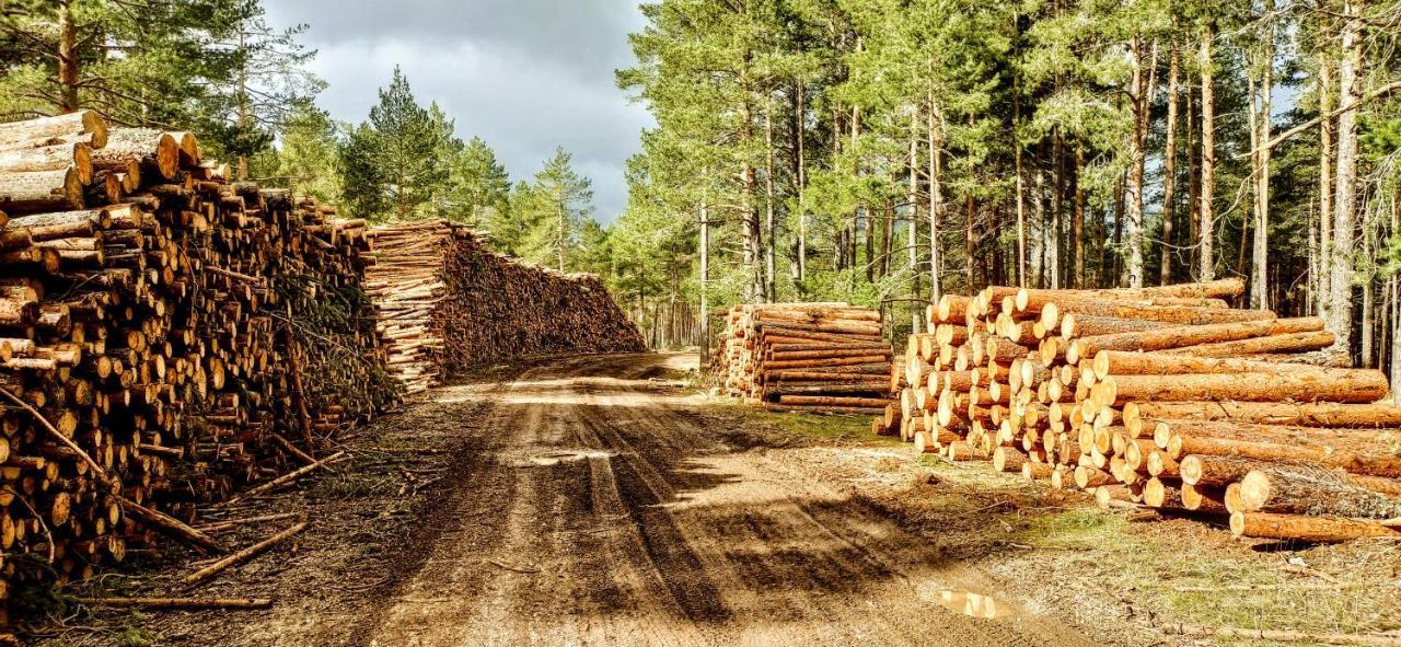 Alojamiento Rural Los Gancheros Tragacete Kültér fotó