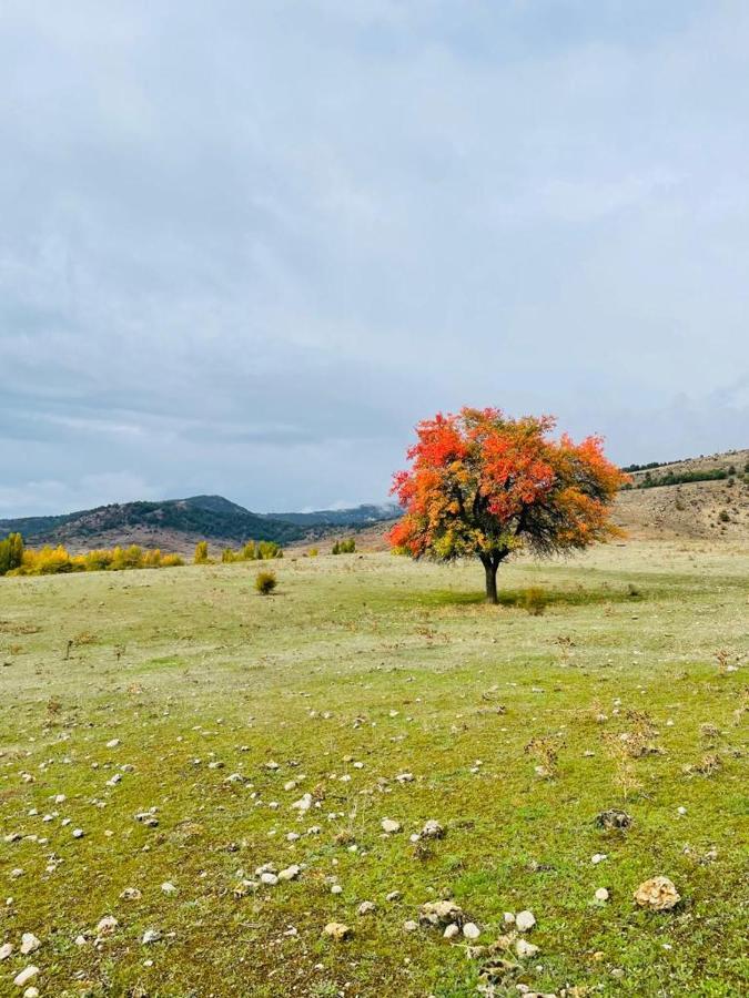 Alojamiento Rural Los Gancheros Tragacete Kültér fotó