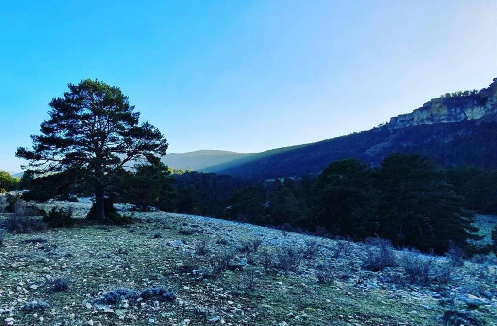 Alojamiento Rural Los Gancheros Tragacete Kültér fotó